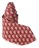 Bicycle Tie