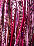 New Pink Feather Hair Extension 8 10 with a WOW of Glitter Strands 51 rcpOaBNL. SL160 New Pink Feather Hair Extension 8 10 with a WOW of Glitter Strands
