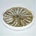 Anchovies in Sunflower Oil with Garlic - 2.2 lbs