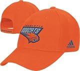 Charlotte Bobcats Official Team Skully Hat