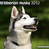Siberian Husky 2012 Wall Calendar #10073-12