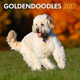 Goldendoodles 2012 Wall Calendar 12