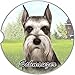 E&S Pets Schnauzer Coaster, 3