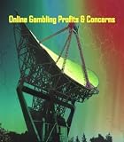 Online Gambling Profits and Concerns