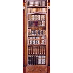 Brewster 2-1090 Library 2-Part Door Mural, 3-Foot 2-Inch by 7-Foot 3-Inch