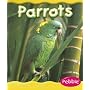 Parrots (Rain Forest Animals)