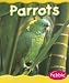 Parrots (Rain Forest Animals)