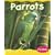 Parrots (Rain Forest Animals)