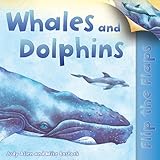 Whales and dolphins