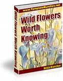 WILD FLOWERS WORTH KNOWING!