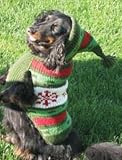 Chilly Handmade Dog Wool Hodie Sweaters Green XXL