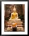 Buddha at Ayuthaya, Siam, Thailand Framed Art Poster Print by Gavriel Jecan, 25x31