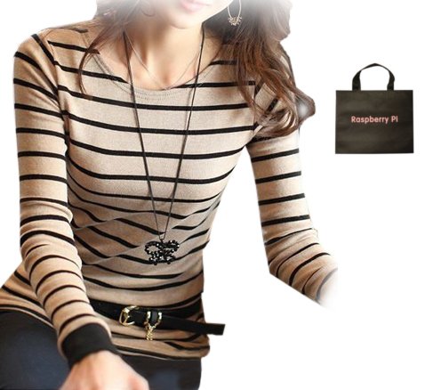 (ラズベリーパイ)RaspberryPi レディース エレガンス トップス カットソー ロンT 長袖 オリジナルエコバッグセット ts249r