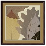 4 Leaves 1 Wall Art by Steven N. Meyers - 23.4x23.4