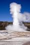 Old Faithful Faithfully Erupts - Iconic 16x20 Photographic Print by Carol M. Highsmith