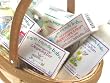 Large Organic Baby Gift Basket