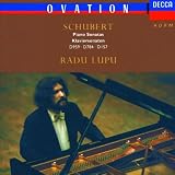 Schubert: Piano Sonatas, D959 & 784