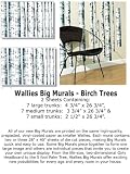 Wallpaper Patton Wallcovering Wallies Vol 2 Birch trees 15210