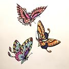 Butterflies (Print On Demand)