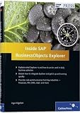 Inside SAP BusinessObjects Explorer