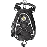 Baylor Bears NCAA Mini Day Pack