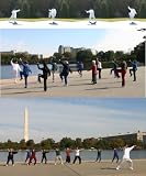 Dr. Chen's Tai Chi Gongfa 401 (Gentle, Fun and Effective Workout, 47 Minutes)