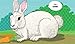 I Spy Pets (I Spy Books)