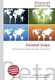 Painted Snipe-