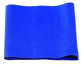 Sunny Health and Fitness Waist Support