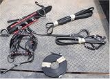 Miniature horse show style patent leather driving harness