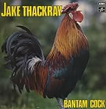 Bantam Cock