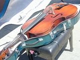 Berkeley Electric Acustic 5 Strring Cello w/Fiber case