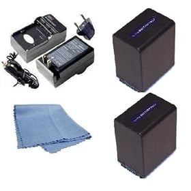 SaveOn 2 Pack Battery and Charger Kit includes Two High Capacity Replacement Sony NP-FV100 Batteries + Rapid Power Charger + SaveOn Micro Fiber Cleaning Cloth for Sony DCR-SR15, SR21, SR68, SR88, SX15, SX21, SX44, SX45, SX63, SX65, SX83, SX85, , HDR-CX105, CX110, CX115, CX130, CX150, CX155, CX160