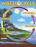 Chart The Water Cycle