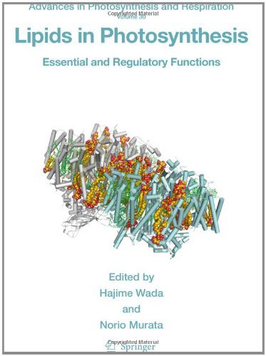 Lipids in Photosynthesis: Essential and Regulatory Functions: 30 (Advances in Photosynthesis and Respiration)