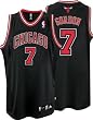 Ben Gordon Black adidas NBA Authentic Chicago Bulls Jersey