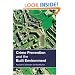 Crime Prevention and the Built Environment