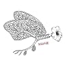 Image de lalbum de {0}