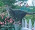 Cats, For the Love of 2009 Deluxe Wall Calendar
