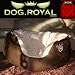HUNDEBETT HUNDEKISSEN HUNDEKORB HUNDESOFA - HOMEZONE BRAUN - NEU - XL 80x80cm - ORIGINAL DOG-ROYAL-DESIGN