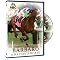 Horse Movies on DVD (1 of 2)