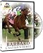 Barbaro - A Nation's Horse