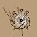 Fixed Retina