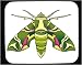 Decorated Mouse Pad with insect, butterfly, oleander, hawk, moth