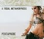 A Tribal Metamorphosis