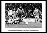 Tottenham Hotspur 1981 FA Cup Final Spurs Framed Photo Memorabilia