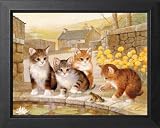 Kitty Cat Kittens Frog Kids Room Animal Picture Framed Art Print