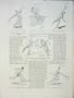 Tennis Sport Davis-Cup Toto Brugnon Cochet Hughes 1931