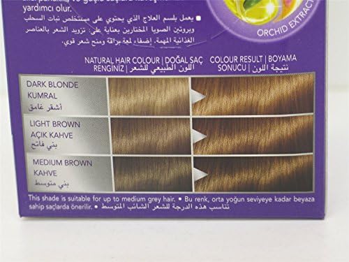 3 x Schwarzkopf Perfect Mousse Permanent Hair Colour No Ammonia 6-65 Light Golden Brown EXP 07/2015