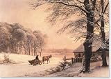 Homeward Bound Holiday Boxed Cards (Christmas Cards, Holiday Cards, Greeting Cards)